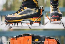 Photo of Особенности и уникальность кошек альпинистских