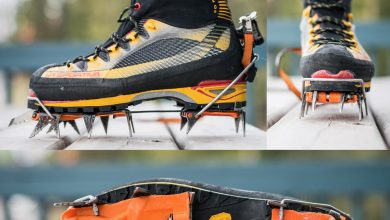 Photo of Особенности и уникальность кошек альпинистских